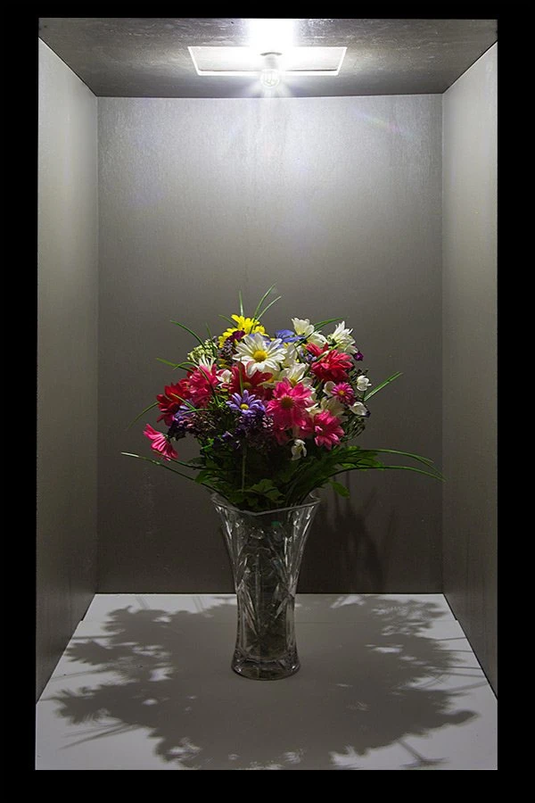 1156 LED Light Bulb with Stock Cover - 36 SMD LED Tower - BA15S Base for Cars, Trucks & SUVs 6 1156 LED Light Bulb with Stock Cover - 36 SMD LED Tower - BA15S Base for Cars, Trucks & SUVs - Image 6