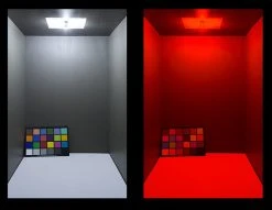 1156 CAN Bus LED Bulb - 30 SMD LED Tower - 2 Pack | High-Performance Vehicle Lighting -Nebo Sales Store 1156 x30 cbt car box