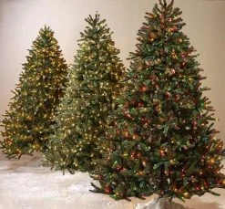 25ft Wide Angle LED Christmas String Lights - 50 Mini 5mm Bulbs, Green Wire - Indoor/Outdoor Holiday Decor -Nebo Sales Store 5mm 50lt x app 3 christmas trees 1