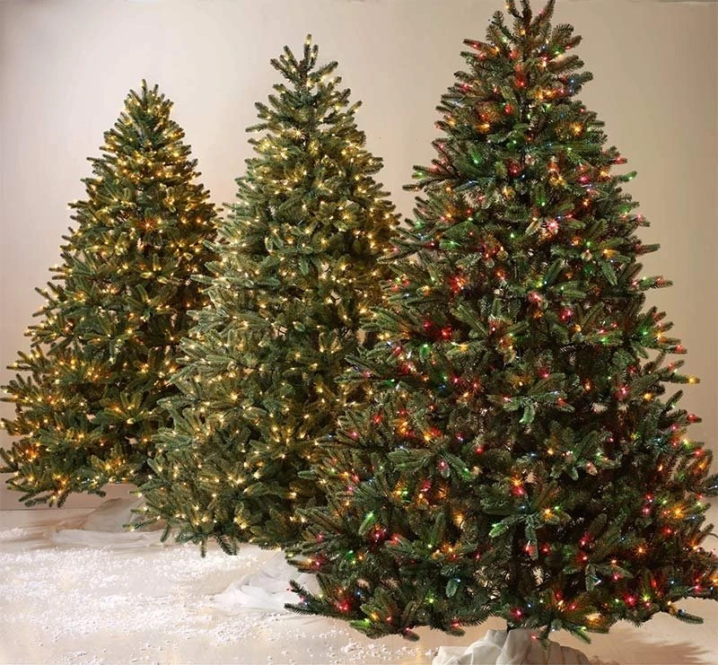 25ft Wide Angle Multicolor LED Christmas String Lights - 50 Mini 5mm Bulbs, Green Wire, Multi-Color (Red, Green, Blue, Yellow, Orange) 4 25ft Wide Angle Multicolor LED Christmas String Lights - 50 Mini 5mm Bulbs, Green Wire, Multi-Color (Red, Green, Blue, Yellow, Orange) - Image 4