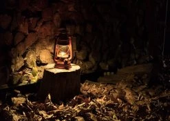 NEBO Old Red LED Lantern with Realistic Flicker Flame - 100 Lumens, Portable Camping Light, Emergency Flashlight - NEB-LTN-1004 -Nebo Sales Store 6642 illuminating wood pile