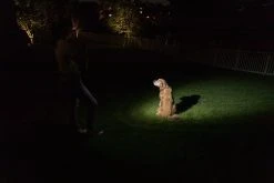 NEBO INSPECTOR LED Pocket Penlight - 180 Lumens, Compact & Bright Flashlight, Black 13 NEBO INSPECTOR LED Pocket Penlight - 180 Lumens, Compact & Bright Flashlight, Black -Nebo Sales Store 6713 app in yard