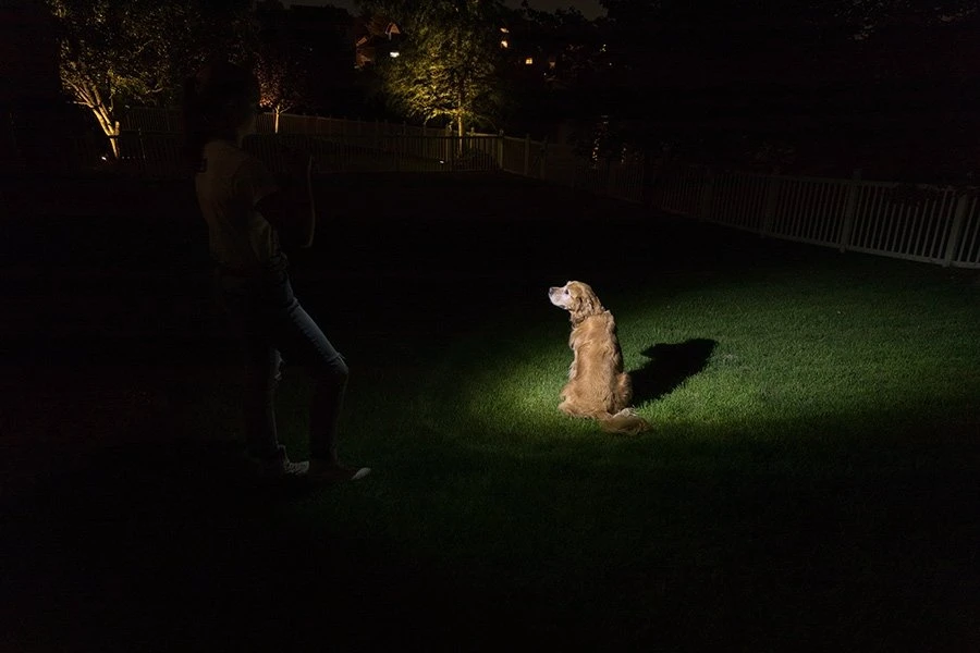 NEBO INSPECTOR LED Pocket Penlight - 180 Lumens, Compact & Bright Flashlight, Black 7 NEBO INSPECTOR LED Pocket Penlight - 180 Lumens, Compact & Bright Flashlight, Black - Image 7