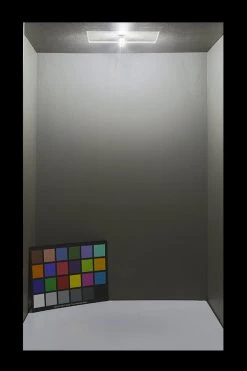 921 LED Bulb - 19 SMD LED - Miniature Wedge Base for Vehicles | Bright & Energy-Efficient -Nebo Sales Store 921 w19 t box