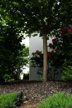 5W Blue LED Landscape Spotlight with Mounting Spike - 25W Equivalent - 250 Lumens - Black Housing -Nebo Sales Store LED Garden Light Stake tree GLUX xw5w s40B