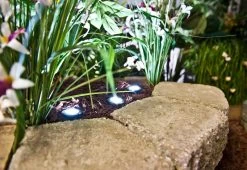 G-LUX 2W LED Flat Top In-Grade Well Light - Energy-Efficient Landscape Lighting 27 G-LUX 2W LED Flat Top In-Grade Well Light - Energy-Efficient Landscape Lighting -Nebo Sales Store LED Garden Planter Landscape Up Light 1 Watt