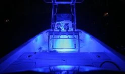 Blue Recessed Marine Accent LED Light - Stainless Steel 12V Courtesy Light for Boats & Vehicles -Nebo Sales Store best led boat lights