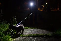 NEBO SLYDE+ LED Flashlight & Work Light - 400 Lumens, Compact & Durable - #6783 -Nebo Sales Store brightest led flashlight dog walking 2