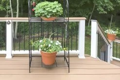 12V LED Deck Light - 300 Lumens - 3000K/4000K/5000K Color Options - Waterproof Landscape Lighting -Nebo Sales Store c fox decklights patio plants 3