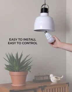 MiBoxer A19 Wi-Fi Smart LED Bulb - RGB & Tunable White, 9W (60W Equivalent), 850 Lumens, Works with Alexa & Google Home 9 MiBoxer A19 Wi-Fi Smart LED Bulb - RGB & Tunable White, 9W (60W Equivalent), 850 Lumens, Works with Alexa & Google Home -Nebo Sales Store fut012 app installing e26 bulb