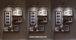 GU10 MiBoxer Wi-Fi Smart LED Bulb - RGB & Tunable White - Alexa & Google Home Compatible - 4W, 280 Lumens 10 GU10 MiBoxer Wi-Fi Smart LED Bulb - RGB & Tunable White - Alexa & Google Home Compatible - 4W, 280 Lumens -Nebo Sales Store fut103 app gu10 bulb wall picture display0