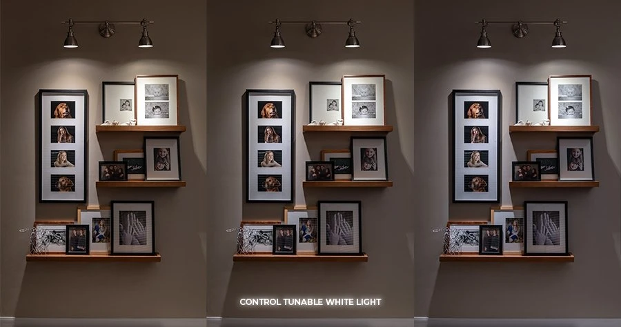 GU10 MiBoxer Wi-Fi Smart LED Bulb - RGB & Tunable White - Alexa & Google Home Compatible - 4W, 280 Lumens 4 GU10 MiBoxer Wi-Fi Smart LED Bulb - RGB & Tunable White - Alexa & Google Home Compatible - 4W, 280 Lumens - Image 4