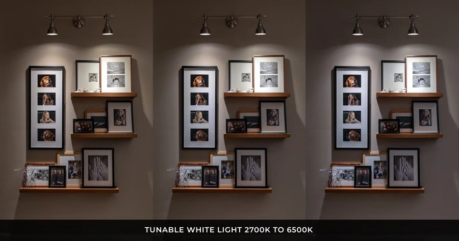 GU10 MiBoxer RGB+Tunable White Smart LED Bulb - Hubless, 4W, 35W Equivalent, 280 Lumens, RF Remote Optional 2 GU10 MiBoxer RGB+Tunable White Smart LED Bulb - Hubless, 4W, 35W Equivalent, 280 Lumens, RF Remote Optional - Image 2