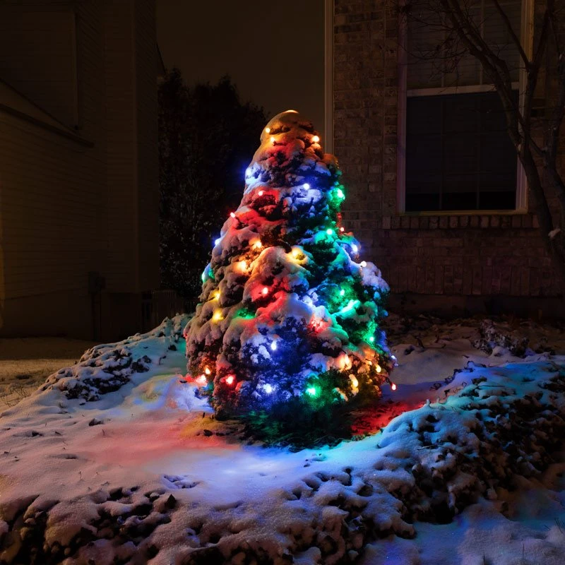 25ft Round Multicolor LED Christmas String Lights - 50 Mini G12 Bulbs, Green Wire, Multi-Color (Red, Green, Blue, Yellow, Orange) 5 25ft Round Multicolor LED Christmas String Lights - 50 Mini G12 Bulbs, Green Wire, Multi-Color (Red, Green, Blue, Yellow, Orange) - Image 5