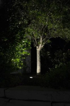 3W Dimmable LED Grated In-Ground Well Light - Warm White - GL-WW3-U120 - Landscape Lighting -Nebo Sales Store gl ww3 u120 illuminating tree