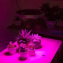 32W Full-Spectrum LED Grow Light - 4-Band Red/Blue/UV/IR for Indoor Plants - Energy-Efficient Plant Growth Lamp -Nebo Sales Store glc 32w4f app basement