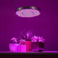 32W Full-Spectrum LED Grow Light - 4-Band Red/Blue/UV/IR for Indoor Plants - Energy-Efficient Plant Growth Lamp -Nebo Sales Store glc 32w4f app basement table