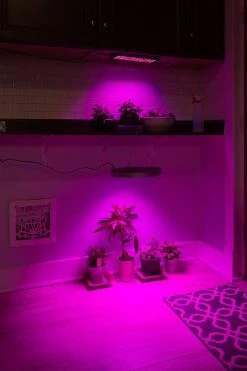 10W Full-Spectrum LED Grow Light - 4-Band Red/Blue/UV/IR for Indoor Plants - Energy-Efficient Plant Growth Lamp -Nebo Sales Store glc 32w4f vs glr 10w4f output