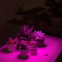 10W Full-Spectrum LED Grow Light - 4-Band Red/Blue/UV/IR for Indoor Plants - Energy-Efficient Plant Growth Lamp -Nebo Sales Store glr 10w4f app basement