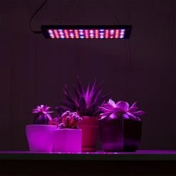 10W Full-Spectrum LED Grow Light - 4-Band Red/Blue/UV/IR for Indoor Plants - Energy-Efficient Plant Growth Lamp -Nebo Sales Store glr 10w4f app basement table