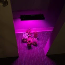 10W Full-Spectrum LED Grow Light - 4-Band Red/Blue/UV/IR for Indoor Plants - Energy-Efficient Plant Growth Lamp -Nebo Sales Store glr 10w4f app in closet