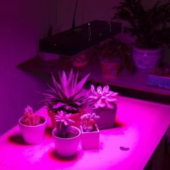 65W Full-Spectrum LED Grow Light for Indoor Plants - 5-Band Red/Blue/UV/IR/White - GLR-65W5F 13 65W Full-Spectrum LED Grow Light for Indoor Plants - 5-Band Red/Blue/UV/IR/White - GLR-65W5F -Nebo Sales Store glr 65w5f app basement