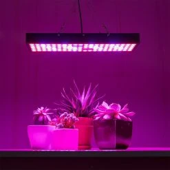 65W Full-Spectrum LED Grow Light for Indoor Plants - 5-Band Red/Blue/UV/IR/White - GLR-65W5F 12 65W Full-Spectrum LED Grow Light for Indoor Plants - 5-Band Red/Blue/UV/IR/White - GLR-65W5F -Nebo Sales Store glr 65w5f app basement table