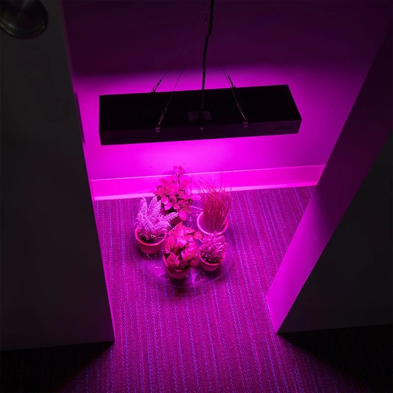 65W Full-Spectrum LED Grow Light for Indoor Plants - 5-Band Red/Blue/UV/IR/White - GLR-65W5F 7 65W Full-Spectrum LED Grow Light for Indoor Plants - 5-Band Red/Blue/UV/IR/White - GLR-65W5F - Image 7