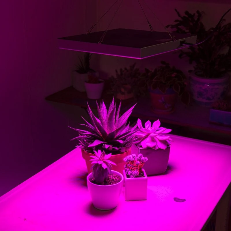 30W LED Grow Light for Indoor Plants - 2-Band Red/Blue Spectrum - GLS-30W2F 8 30W LED Grow Light for Indoor Plants - 2-Band Red/Blue Spectrum - GLS-30W2F - Image 8