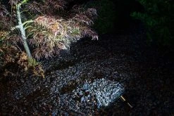 8W LED Landscape Spotlight - 625 Lumens Warm White - Outdoor LED Spot Light for Gardens, Pathways, and Yards -Nebo Sales Store glux led spot light rock garden bush