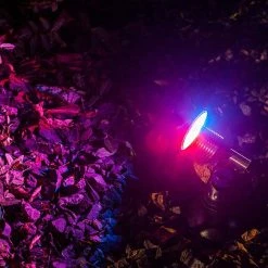 6W RGB Color Changing LED Landscape Spotlight - 200 Lumens - Matte Black - Outdoor Lighting -Nebo Sales Store glux rgb tree closeup 1