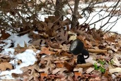 6W LED Landscape Spotlight - 425 Lumens Warm White - Outdoor LED Spot Light for Gardens & Pathways -Nebo Sales Store glux x6w s40 3