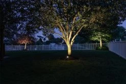 120W Low-Voltage Landscape Lighting Transformer with Photocell & Timer - DiodeDrive® Series - 12VAC -Nebo Sales Store landscape tree lighting 1