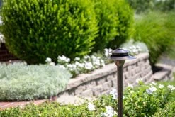 6" Solid Brass LED Landscape Path Light with Two-Tier Cone Shade - Drop-In Fixture - G4 Bulb Options (2700K/4000K/6500K) -Nebo Sales Store lfb p05 2