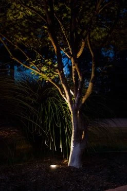 Brass LED Ready Flat Top In-Ground Well Light with Optional MR16 Bulb - 2700K/3000K/4000K/6500K - Durable Landscape Lighting -Nebo Sales Store lfb w07 app 1