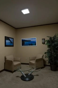 1x1 Surface Mount LED Panel Light - 18W Dimmable Even-Glow® Fixture - 1,800 Lumens - Flush Mount Ceiling Light for Residential Use -Nebo Sales Store lpd x11 18 demo room 1x10 1