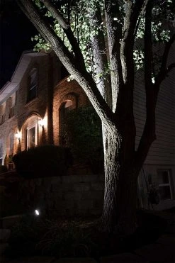 6-Piece LED Spot Light Landscape Lighting Kit with MR16 Bulbs & 60W Transformer - 2700K/3000K/4000K/6500K -Nebo Sales Store lsbf bz app on side of tree beam side angle