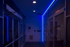 Neon LED Strip Lights - 5m Warm White Side Bend Neon Flex, IP65, 24V for Sign Lighting & Trade Show Booths -Nebo Sales Store nf b30 illuminating office entrance inside
