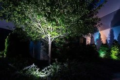 6W LED Landscape Spotlight - 425 Lumens Warm White - Outdoor LED Spot Light for Gardens & Pathways -Nebo Sales Store office building landscape led spot light