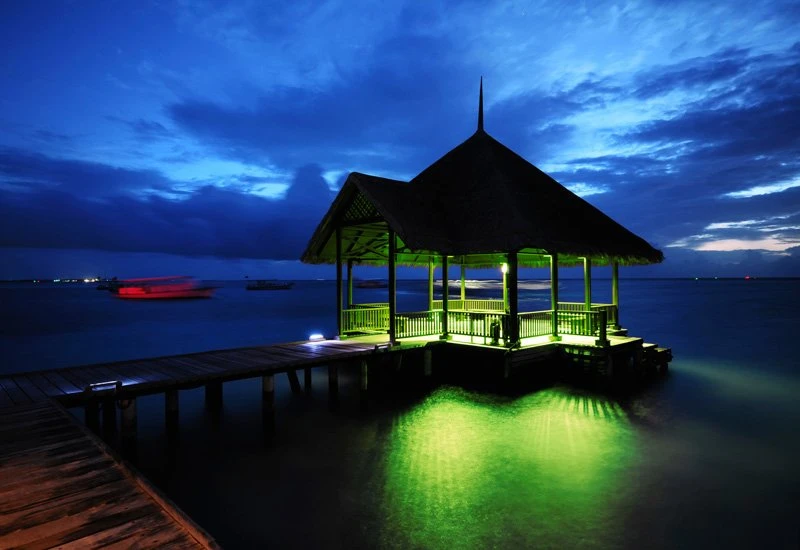 8W RGB LED Downlight - Waterproof Recessed Light with Remote Control for Landscape Lighting 8 8W RGB LED Downlight - Waterproof Recessed Light with Remote Control for Landscape Lighting - Image 8