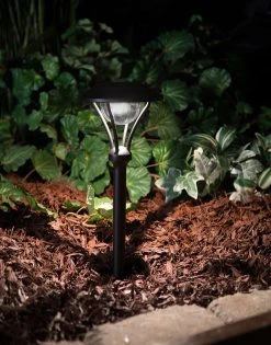 2W Warm White LED Landscape Path Lights with Mini Post Top Light Head - Energy-Efficient Outdoor Lighting 20 2W Warm White LED Landscape Path Lights with Mini Post Top Light Head - Energy-Efficient Outdoor Lighting -Nebo Sales Store plp ww25on