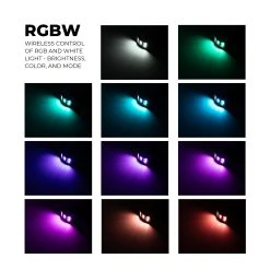12 Pod Off-Road RGBW LED Rock Light Kit with Remote - Bluetooth & Smartphone Compatible for Motorcycles & Vehicles -Nebo Sales Store rlmk rgbw12 x colors2 1