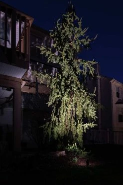 LED Landscape Lighting Expansion Kit - 4 Integrated LED Spotlights for Outdoor Gardens & Pathways -Nebo Sales Store spl 30k3w 60br app output 1