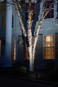 5W LED Landscape Spotlight - 240 Lumens, 25W Equivalent, 4000K/3000K - Outdoor LED Spot Light -Nebo Sales Store spl 40k5w 60br app output