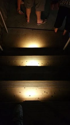 12V LED Step Light - 6-Pack with Windowed Faceplate, White, 4500K - Energy Efficient Deck & Landscape Lighting 28 12V LED Step Light - 6-Pack with Windowed Faceplate, White, 4500K - Energy Efficient Deck & Landscape Lighting -Nebo Sales Store step light installed concrete stair warm white