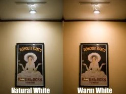 Weatherproof PAR36 LED Light Bulb - 50W Equivalent Red Screw Pin Flood Light for Vehicles -Nebo Sales Store track lighting par36 on print whites