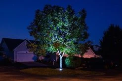 G-LUX 11W LED Flat Top In-Ground Well Light - Cool White - Durable Landscape Lighting -Nebo Sales Store tree led up light subdivision court