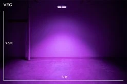 260W Full-Spectrum LED Grow Light with 12-Band Multi Spectrum - Vegetation & Bloom Switches - GLR-260W12F-VBD -Nebo Sales Store veg0