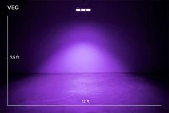 390W Full-Spectrum LED Grow Light with 12-Band Multi Spectrum - Vegetation & Bloom Switches - GLR-390W12F-VBD 15 390W Full-Spectrum LED Grow Light with 12-Band Multi Spectrum - Vegetation & Bloom Switches - GLR-390W12F-VBD -Nebo Sales Store veg012