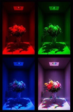 G-LUX RGB LED Flat Top In-Ground Well Light - 8 Watt, RGB Color Changing Landscape Lighting with Sleeve -Nebo Sales Store wrlfa rgb6w 60 box 1